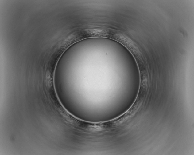 X0000112900469200909041726