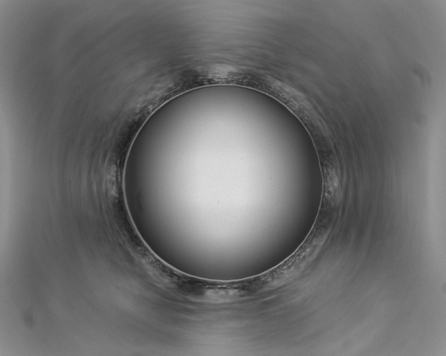 X0000112900470200909041726