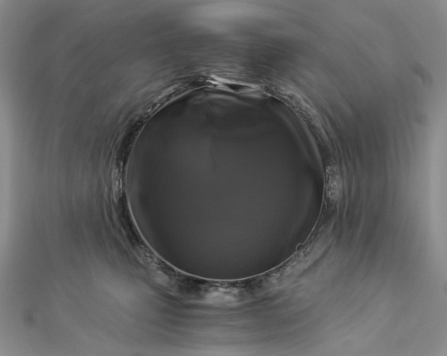 X0000112900471200909041726