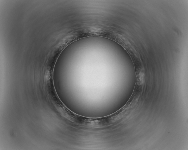 X0000112900472200909041726