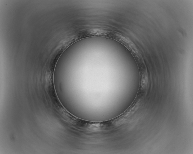 X0000112900473200909041726