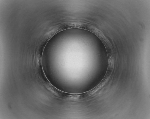 X0000112900474200909041726