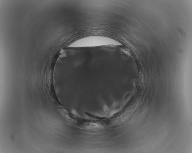 X0000112900475200909041726