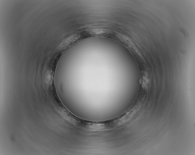 X0000112900476200909041726