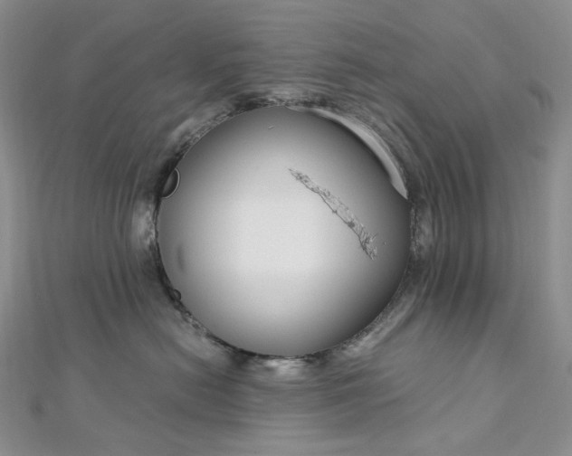 X0000112900478200909041726