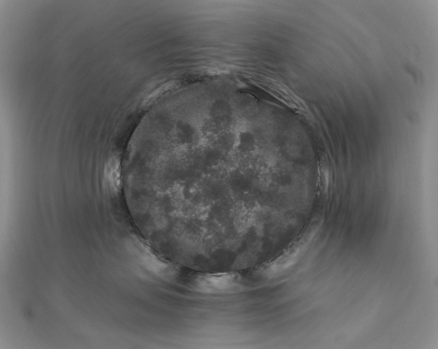 X0000112900479200909041726