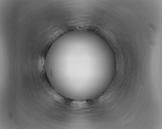 X0000112900480200909041726