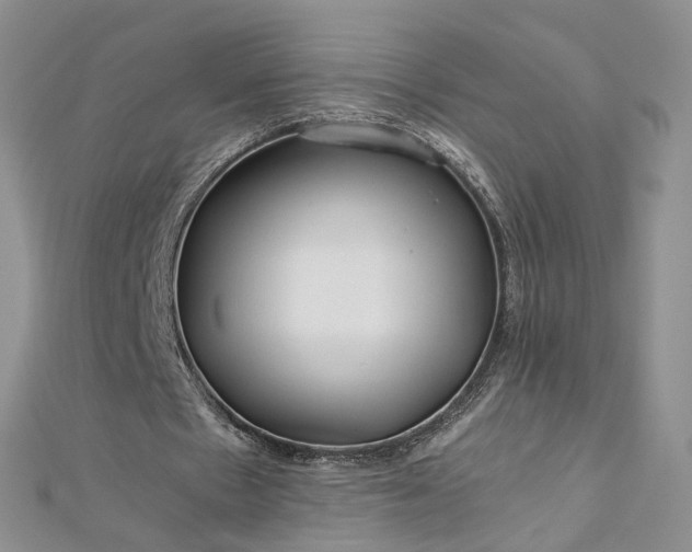 X0000112900481200909041726