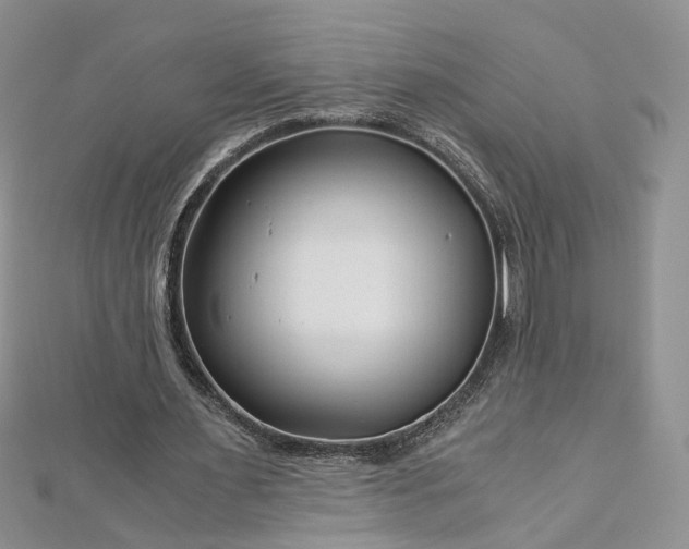 X0000112900483200909041726