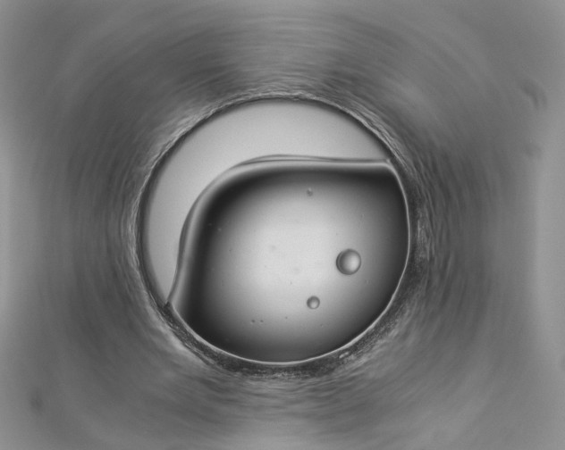 X0000112900485200909041726