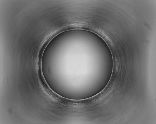 X0000112900486200909041726