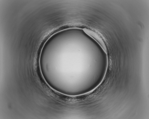 X0000112900487200909041726