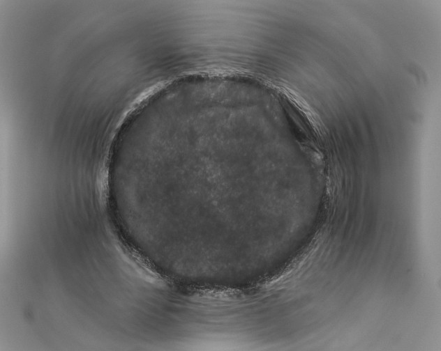 X0000112900488200909041726