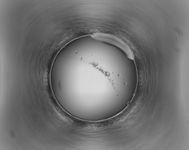 X0000112900489200909041726