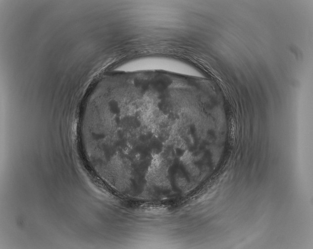 X0000112900491200909041726