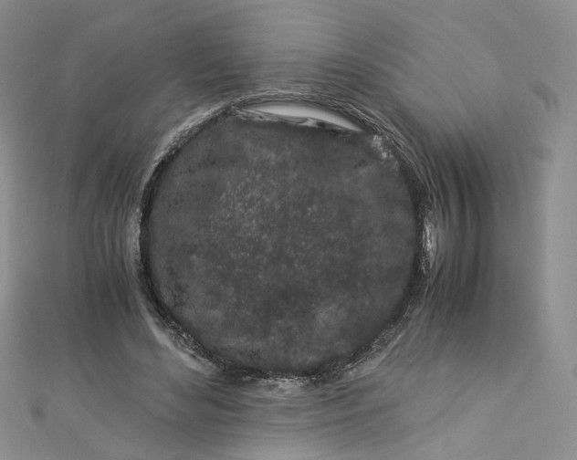 X0000112900492200909041726