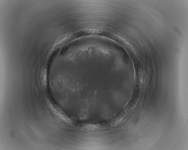 X0000112900494200909041726