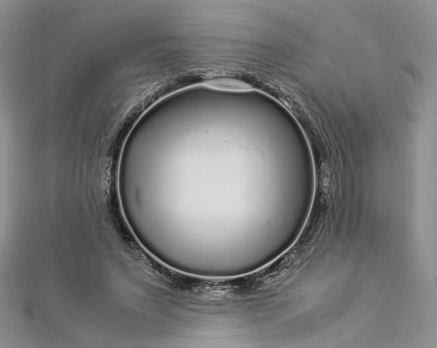 X0000112900495200909041726