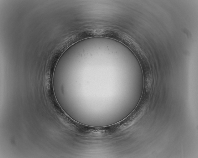 X0000112900497200909041725