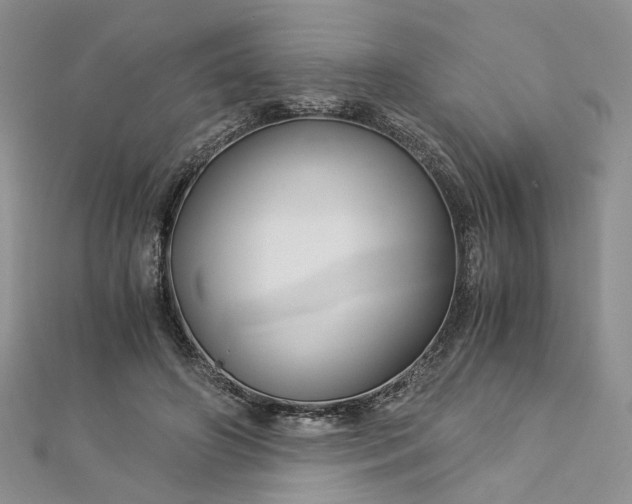 X0000112900498200909041725