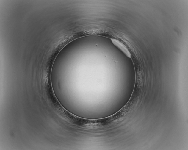 X0000112900499200909041725