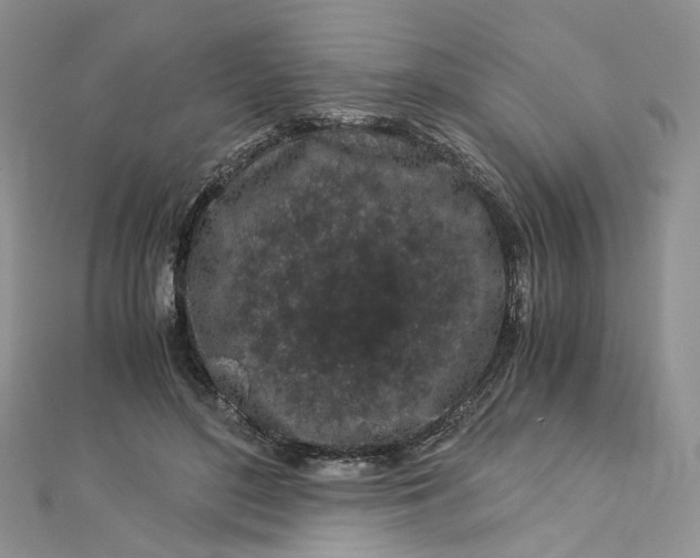 X0000112900500200909041725