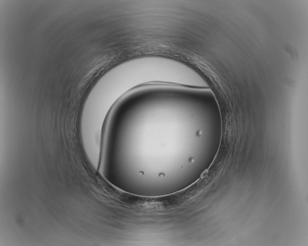 X0000112900501200909041725