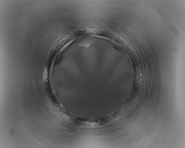 X0000112900502200909041725