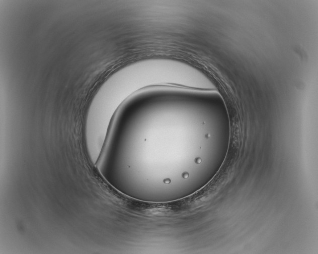 X0000112900505200909041725