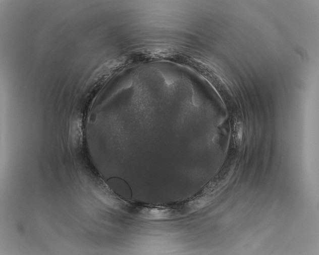 X0000112900506200909041725