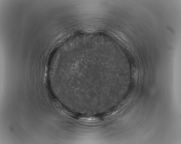 X0000112900507200909041725