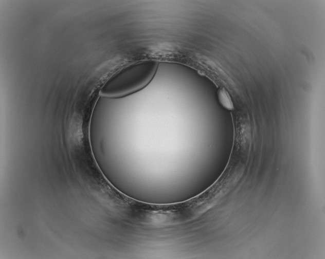 X0000112900508200909041725