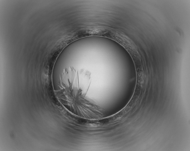 X0000112900510200909041725