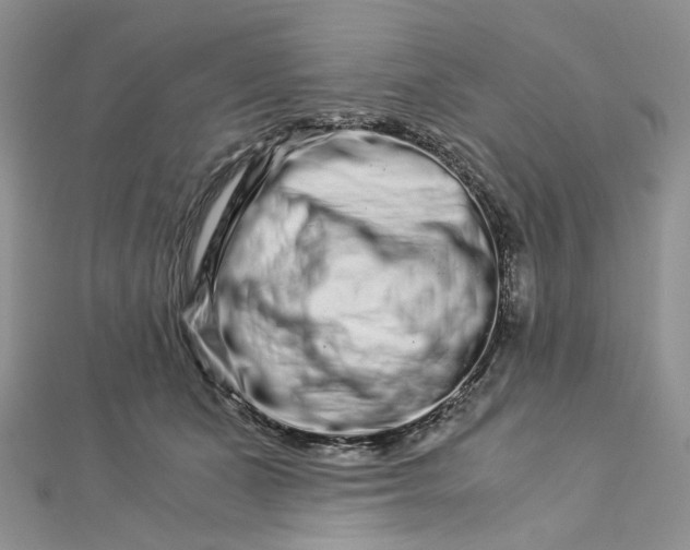 X0000112900511200909041725