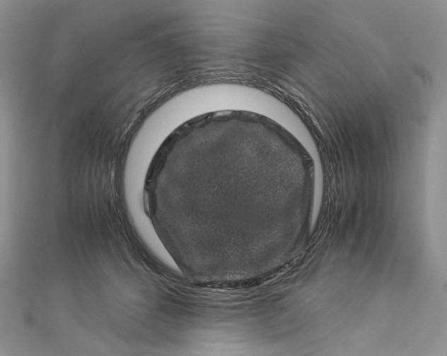 X0000112900512200909041725