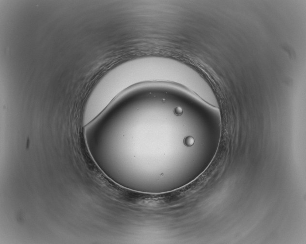 X0000112900513200909041725