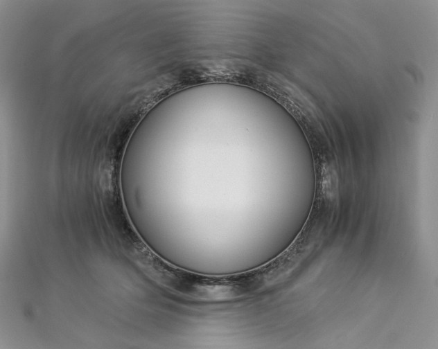 X0000112900514200909041725