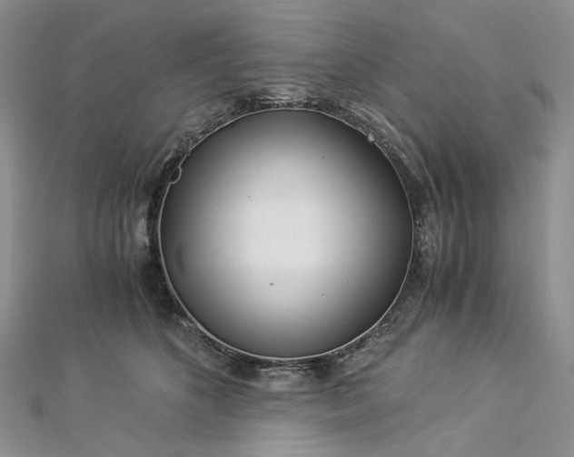 X0000112900516200909041725