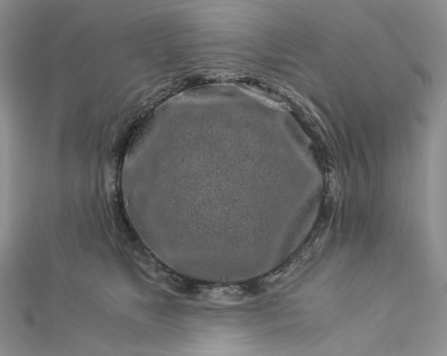 X0000112900517200909041725