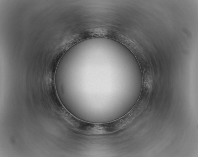 X0000112900518200909041725