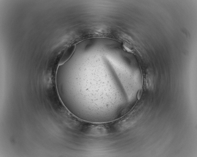 X0000112900520200909041725