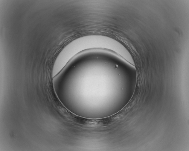 X0000112900521200909041725