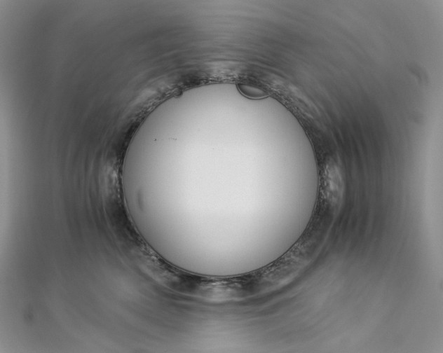 X0000112900522200909041725