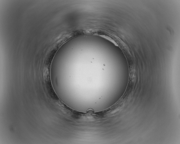 X0000112900523200909041725