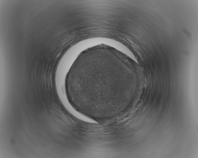 X0000112900524200909041725