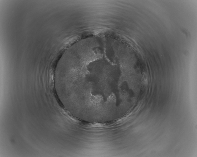 X0000112900527200909041725