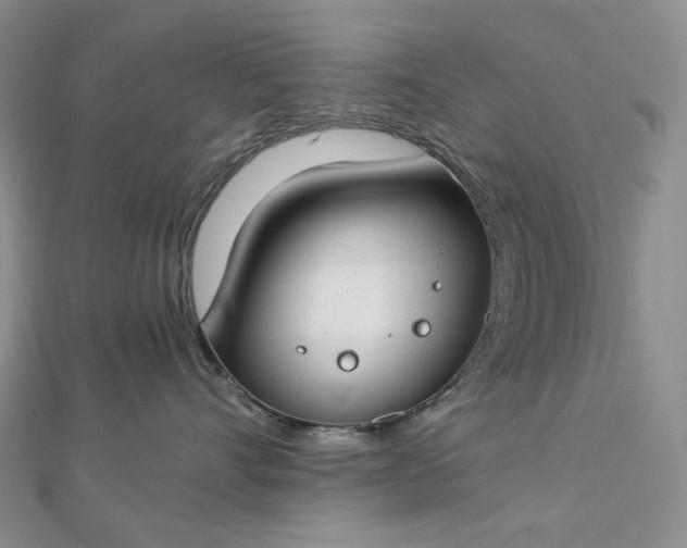 X0000112900528200909041725