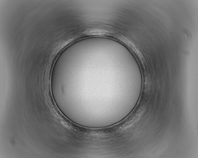 X0000112900529200909041724