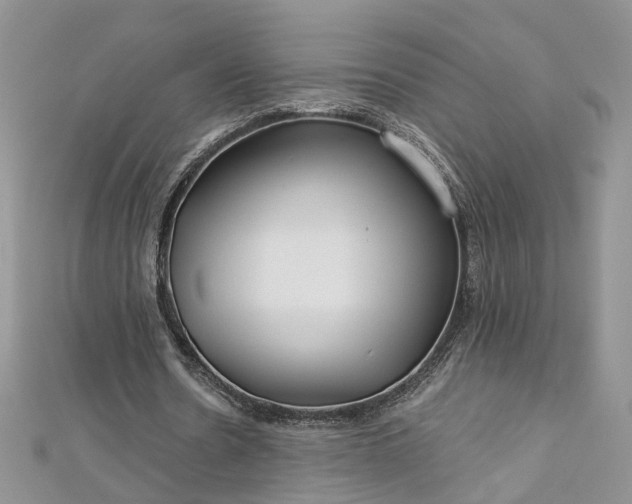 X0000112900530200909041724