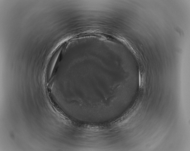 X0000112900531200909041724